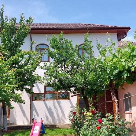 Agropensiunea Olteanu Niculitel 外观 照片