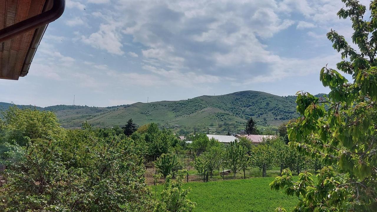 Agropensiunea Olteanu Niculitel 外观 照片