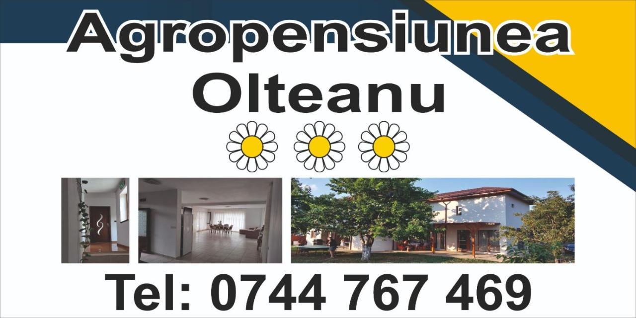 Agropensiunea Olteanu Niculitel 外观 照片